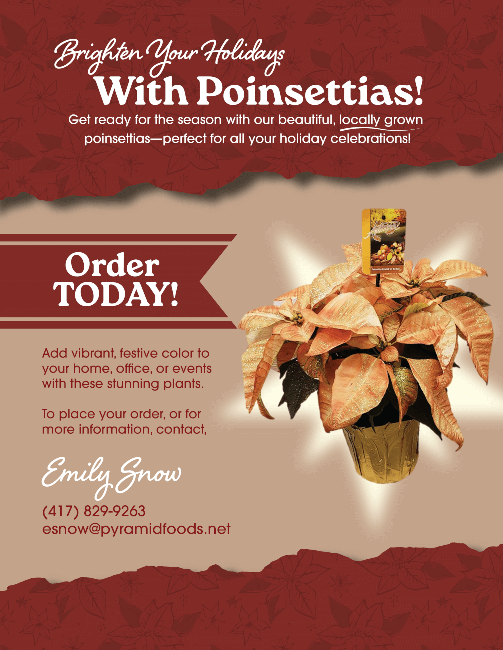pointsettia